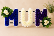 Any 3 Letter Tribute